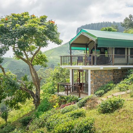 Madulkelle Tea And Eco Lodge Kandy Dış mekan fotoğraf