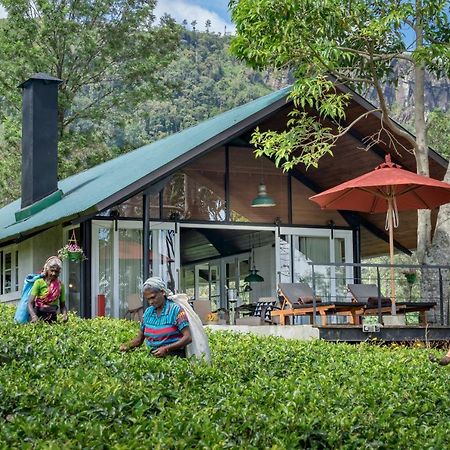 Madulkelle Tea And Eco Lodge Kandy Dış mekan fotoğraf