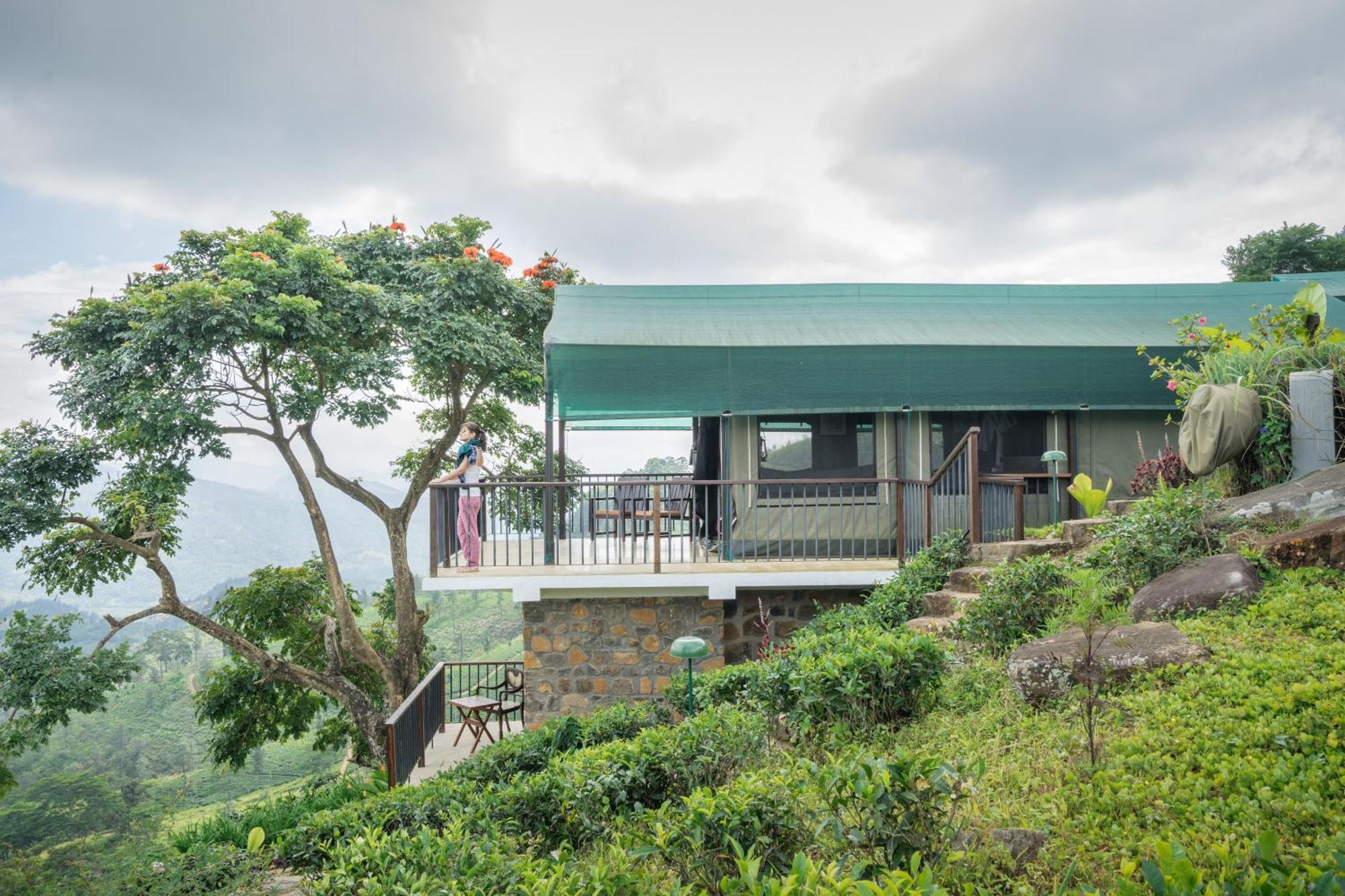 Madulkelle Tea And Eco Lodge Kandy Dış mekan fotoğraf