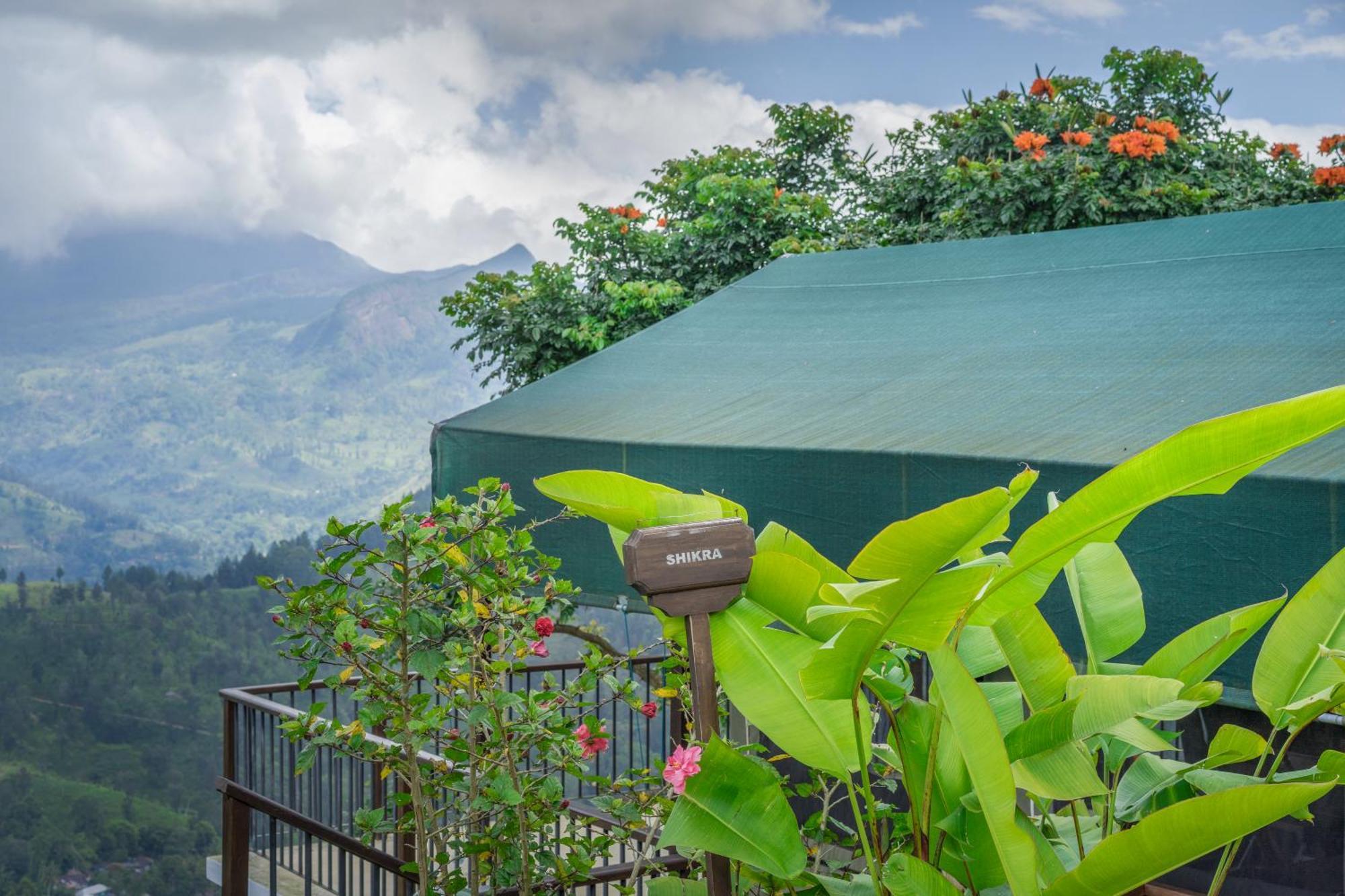 Madulkelle Tea And Eco Lodge Kandy Dış mekan fotoğraf