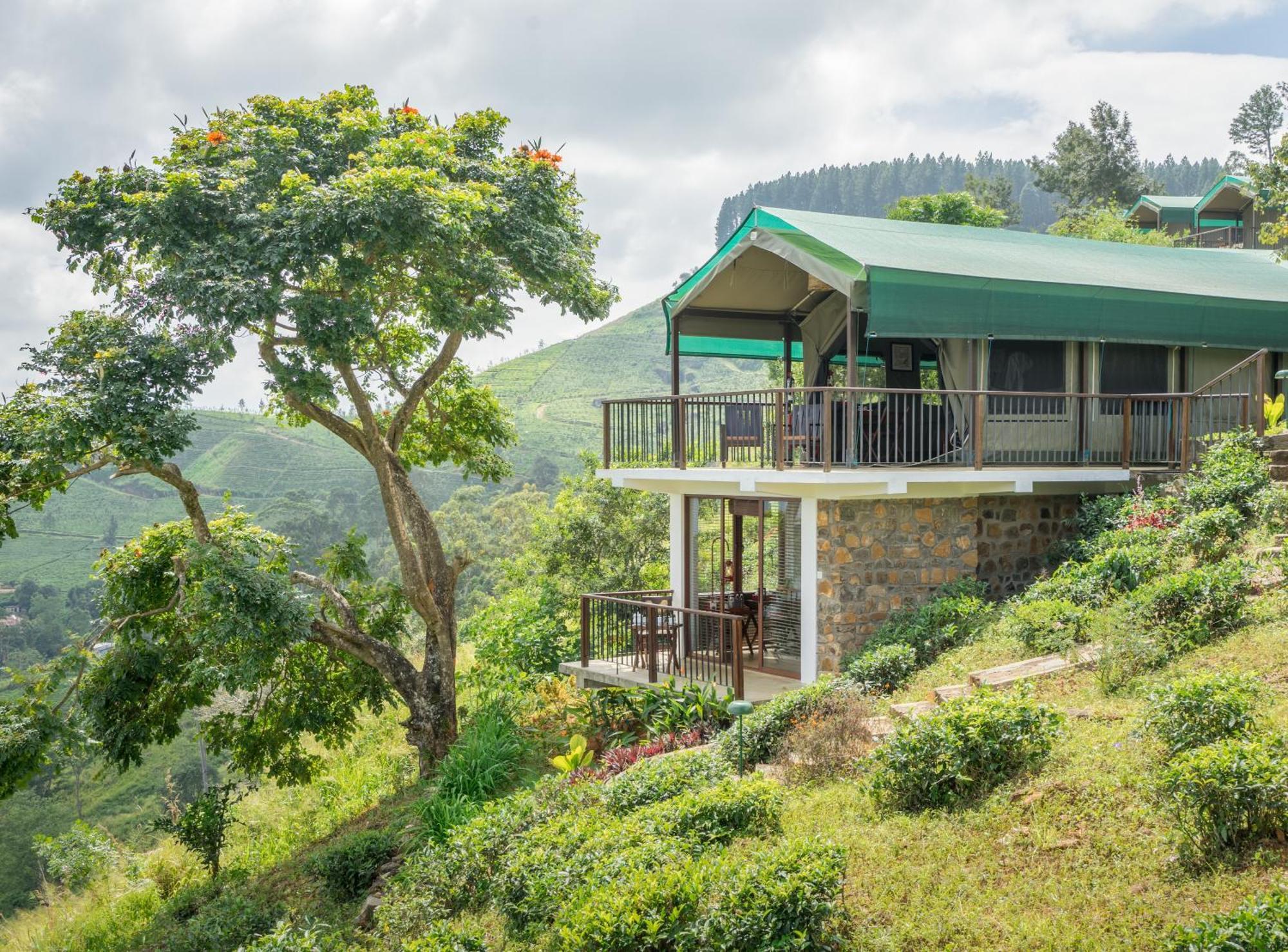 Madulkelle Tea And Eco Lodge Kandy Dış mekan fotoğraf