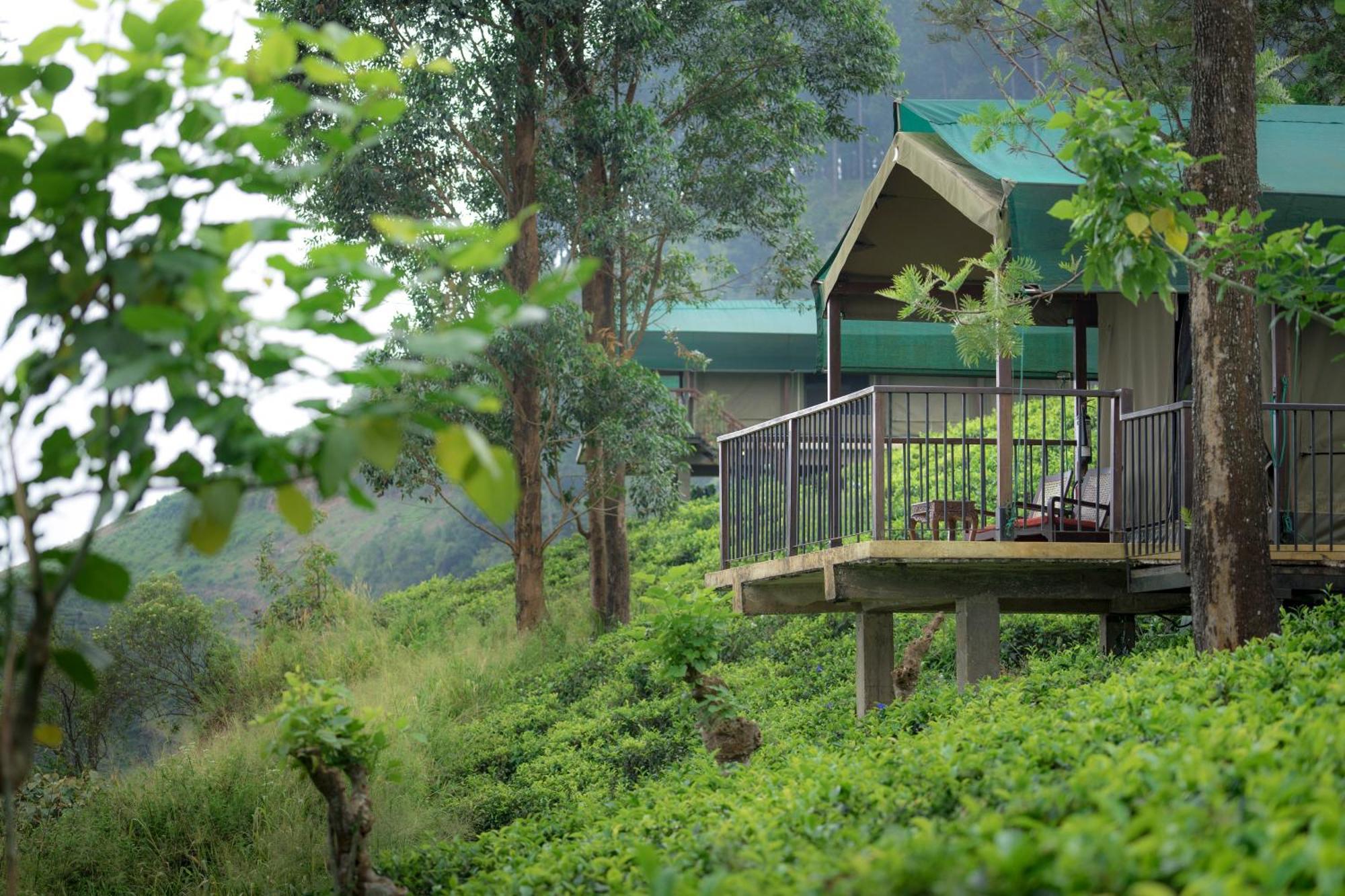 Madulkelle Tea And Eco Lodge Kandy Dış mekan fotoğraf
