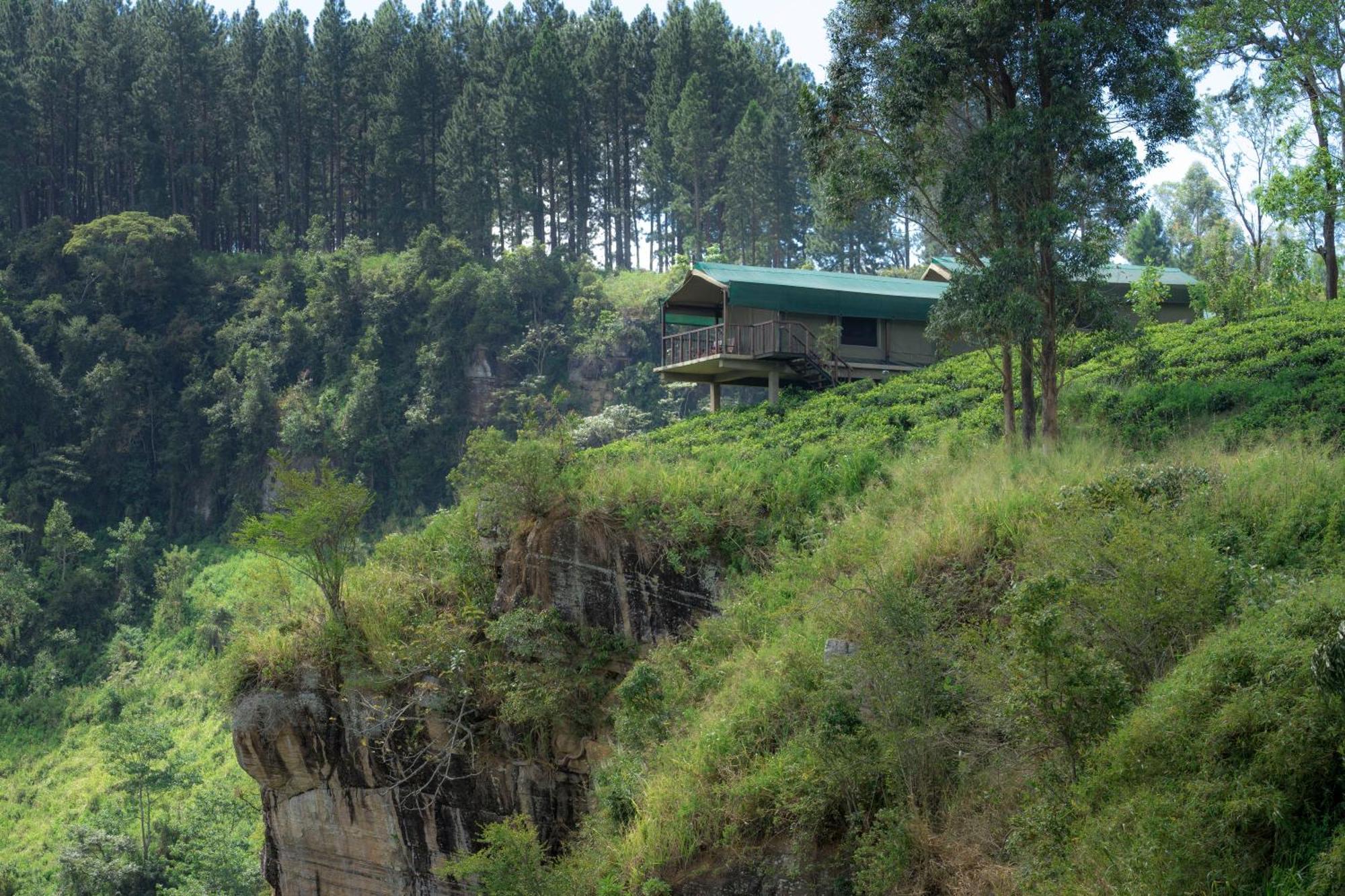 Madulkelle Tea And Eco Lodge Kandy Dış mekan fotoğraf