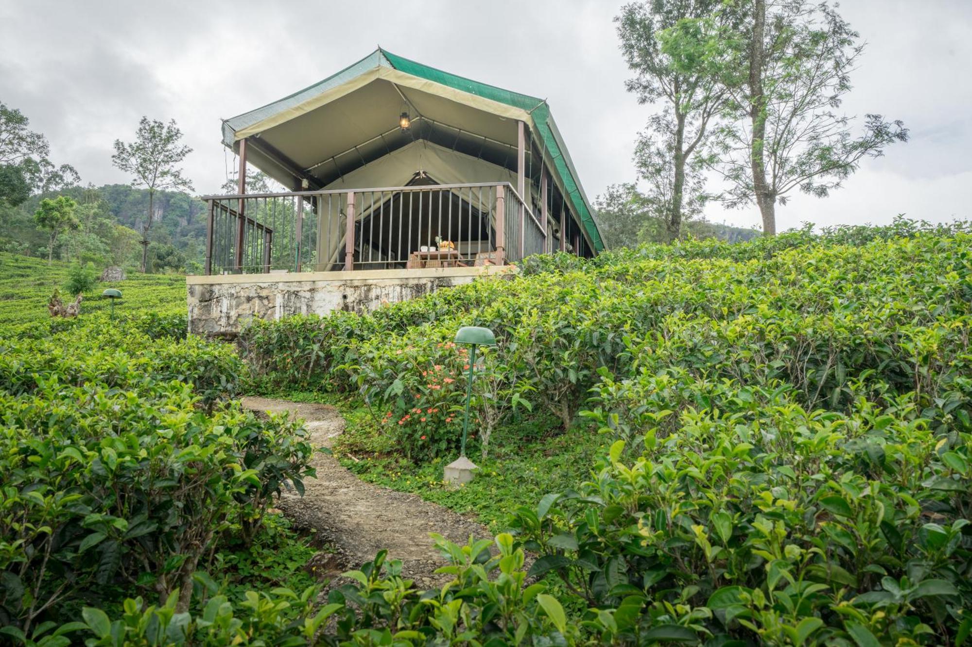 Madulkelle Tea And Eco Lodge Kandy Dış mekan fotoğraf