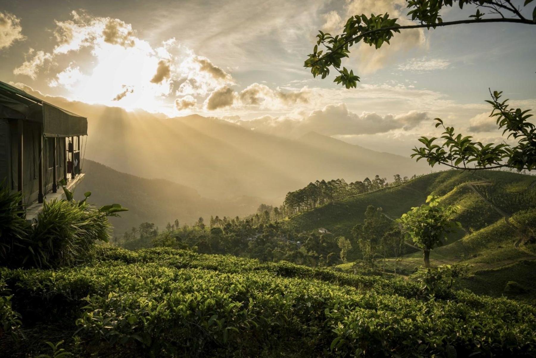 Madulkelle Tea And Eco Lodge Kandy Dış mekan fotoğraf