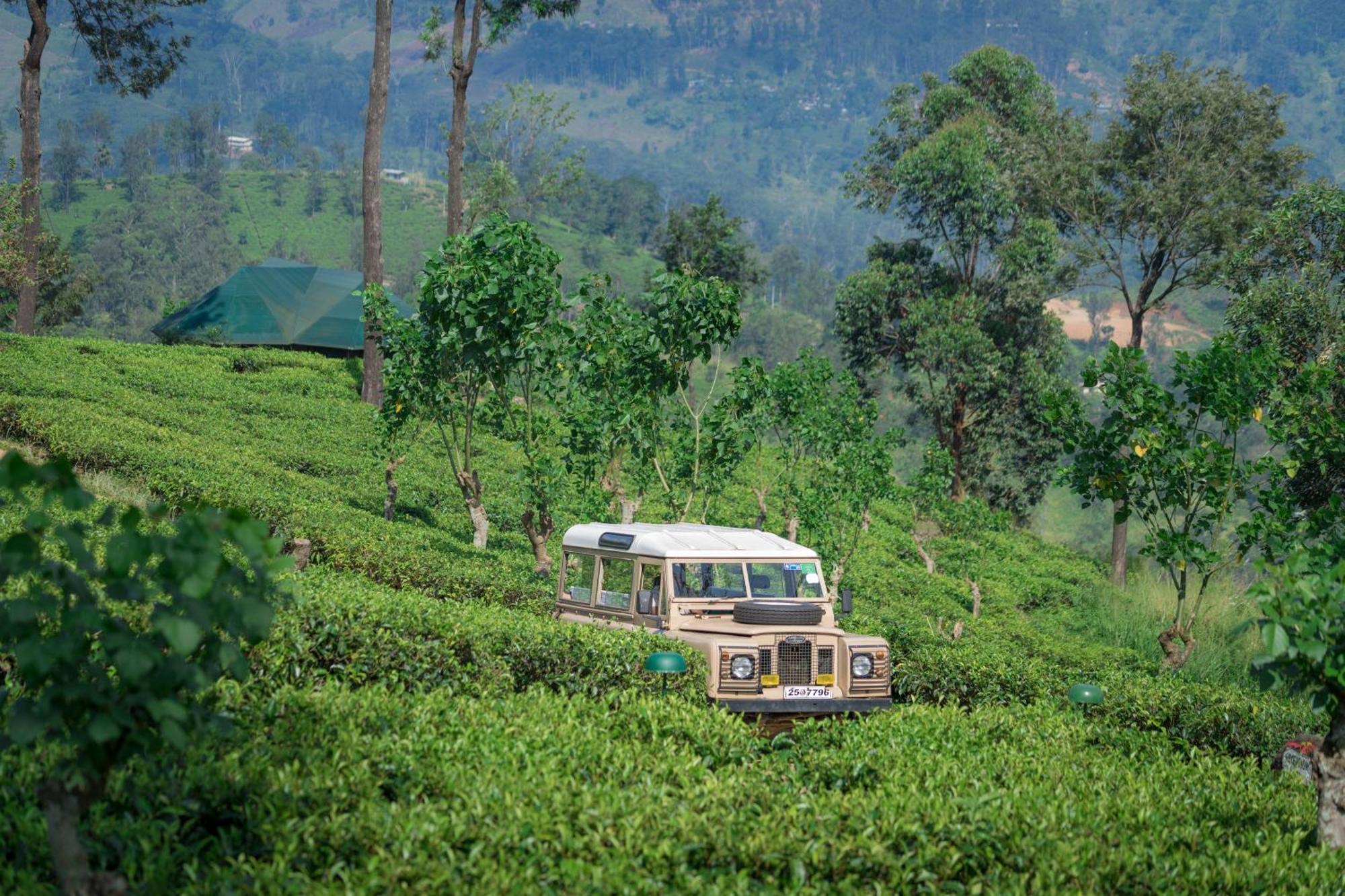 Madulkelle Tea And Eco Lodge Kandy Dış mekan fotoğraf